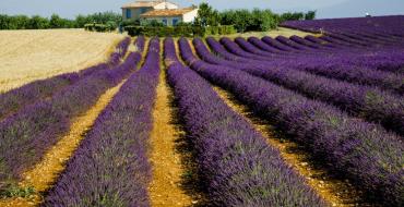Solo trip to Provence