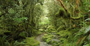 Yangi Zelandiya: keng ko'lamli landshaftlar mamlakati