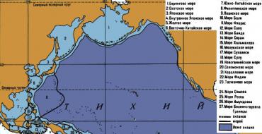 Bering dengizi: geografik joylashuvi, tavsifi Bering dengizining fizik-geografik joylashuvi