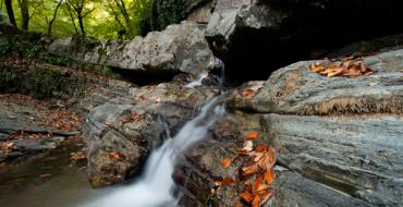 Path of Health (Rosa Khutor)